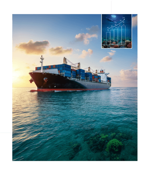 Sustainability and Regulatory Compliance